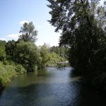 River in Auburn, Washington