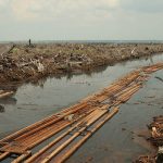 Forest clearing in Indonesia to satisfy global demand for palm oil.