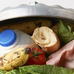 Fresh food in a garbage can illustrates our food waste problem.