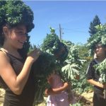Kids get creative with kale in an urban garden in Tacoma, Washington. Photo by Kristen McIvor