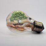 Nature, bulb