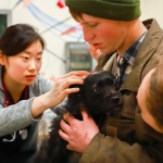 Both pets and people receive care at One Health Clinic.