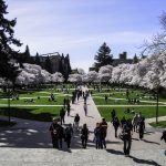 University of Washington Seattle