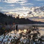 Burnt Bridge Creek, Vancouver, WA, October 2015.