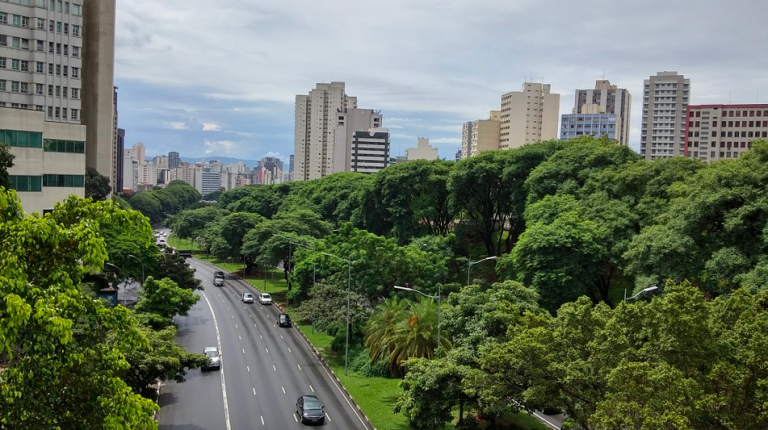 Why Should I Study in São Paulo?