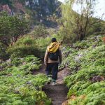 A man walks through a scenic natural environment.
