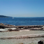 A view down the beach of Owen's Park on a sunny day, showing some driftwood and waves in the forefront.