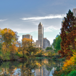 A view of a lush park with a water feature and dense urban buildings in the background.