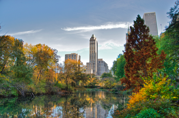 A view of a lush park with a water feature and dense urban buildings in the background.