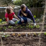 Dr. Meade Krosby and her daughter Juniper, 8, look through their garden together in their Fremont backyard on March 23, 2020. The family is planting vegetables in order to remain as self sufficient as they can in response to COVID-19. “I want to make people aware that if you have a sunny window or patio, you can grow stuff too,” Krosby says.