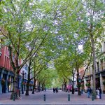 Occidental Square, Downtown Seattle, October 2016.
