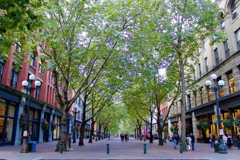 Occidental Square, Downtown Seattle, October 2016.
