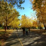 Green Lake Park, 2018.