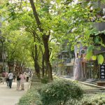 In Guangzhou, China, a fully pedestrianized space that includes shade from trees and well maintained foliage along a commercial street gives residents reasons to stroll and linger.