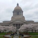 Washington State Capitol campus on an overcast spring day, cherry blossoms between photographer and the legislative building. Photo taken from the steps of the former state library.